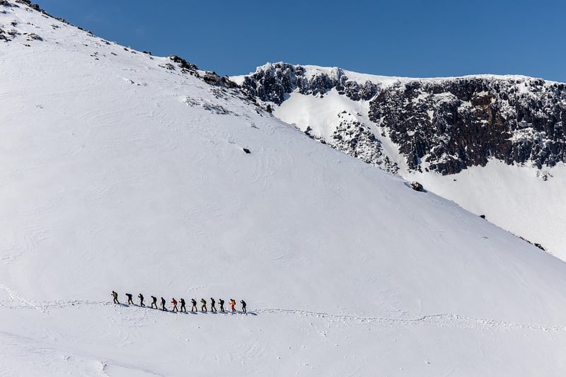 Group Hikes